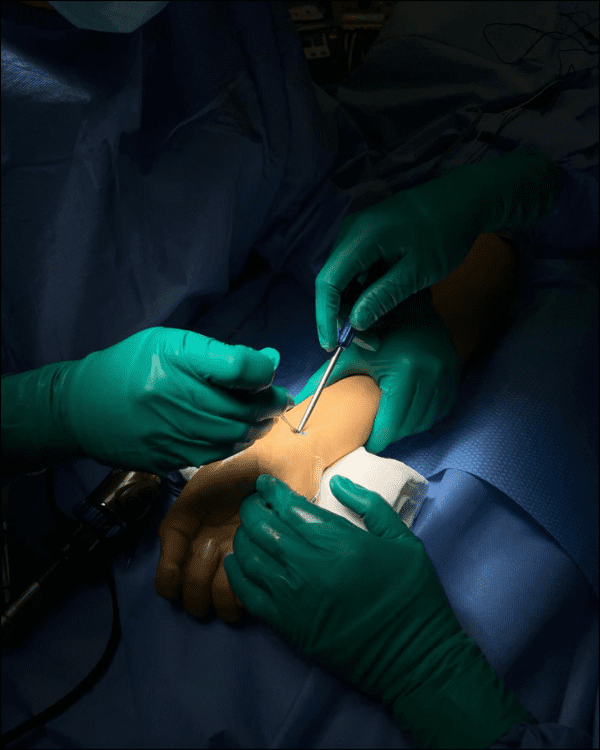 Curso de Anatomía y Principios Quirúrgicos de la Mano - Imagen 4
