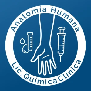 Material didáctico de Anatomía para Licenciado en Química Clínica