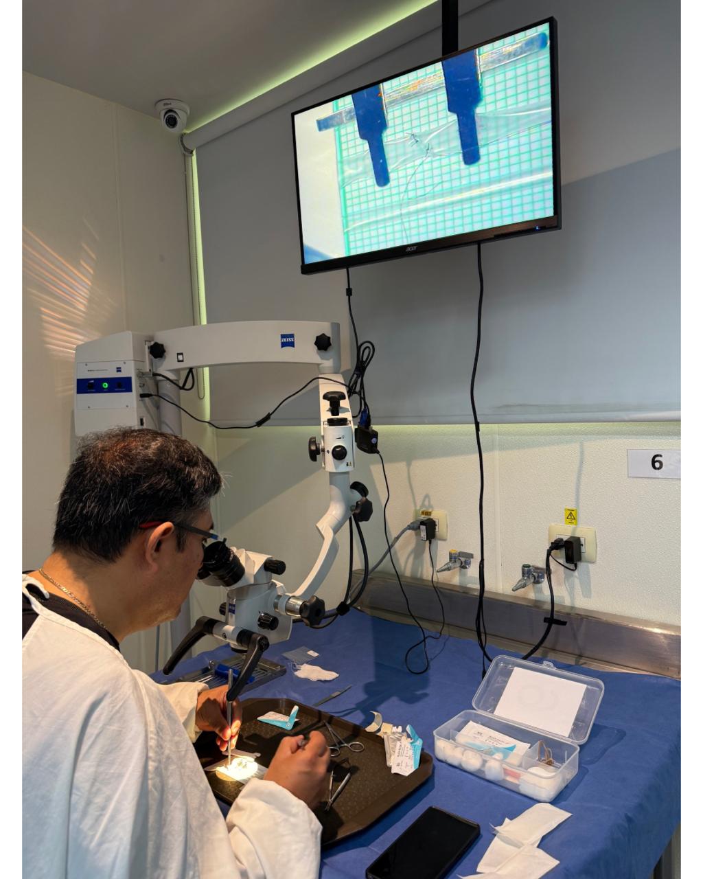 Curso de NeuromicrocirugĂa - Imagen 8