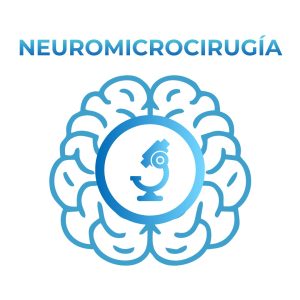 Curso de Neuromicrocirugía