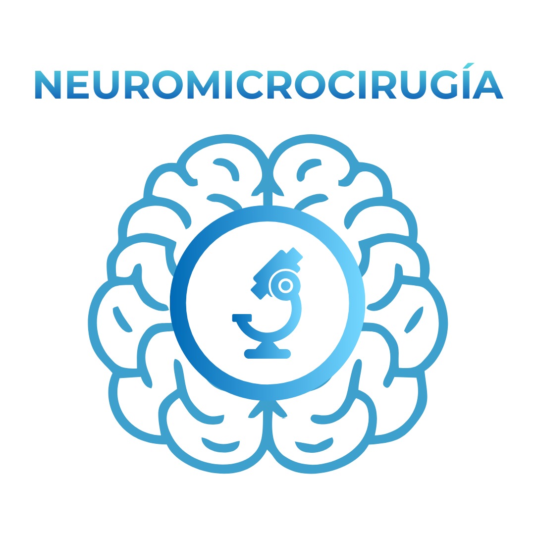 Curso de NeuromicrocirugĂa
