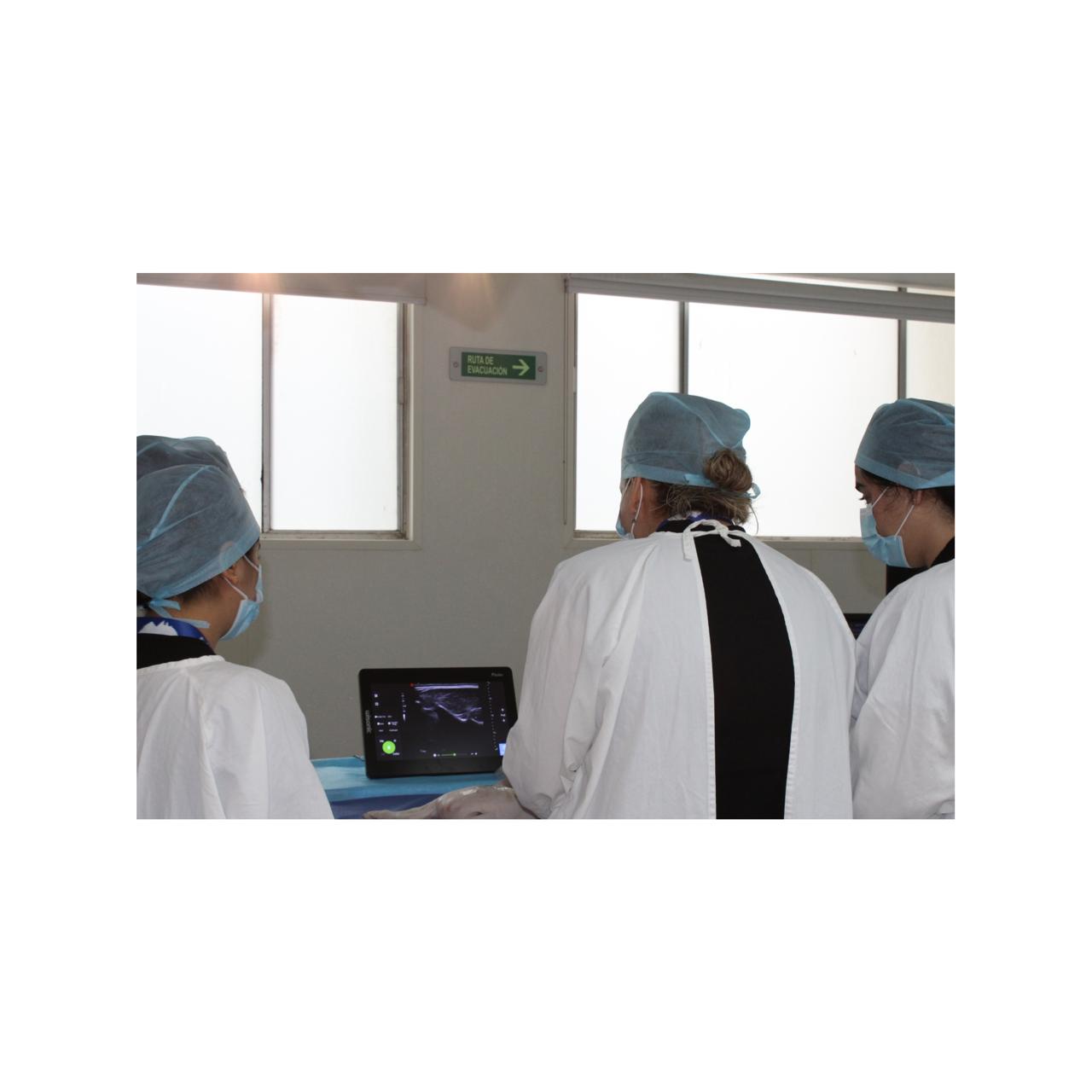 Curso EcografĂa MusculoesquelĂ©tica - Imagen 8