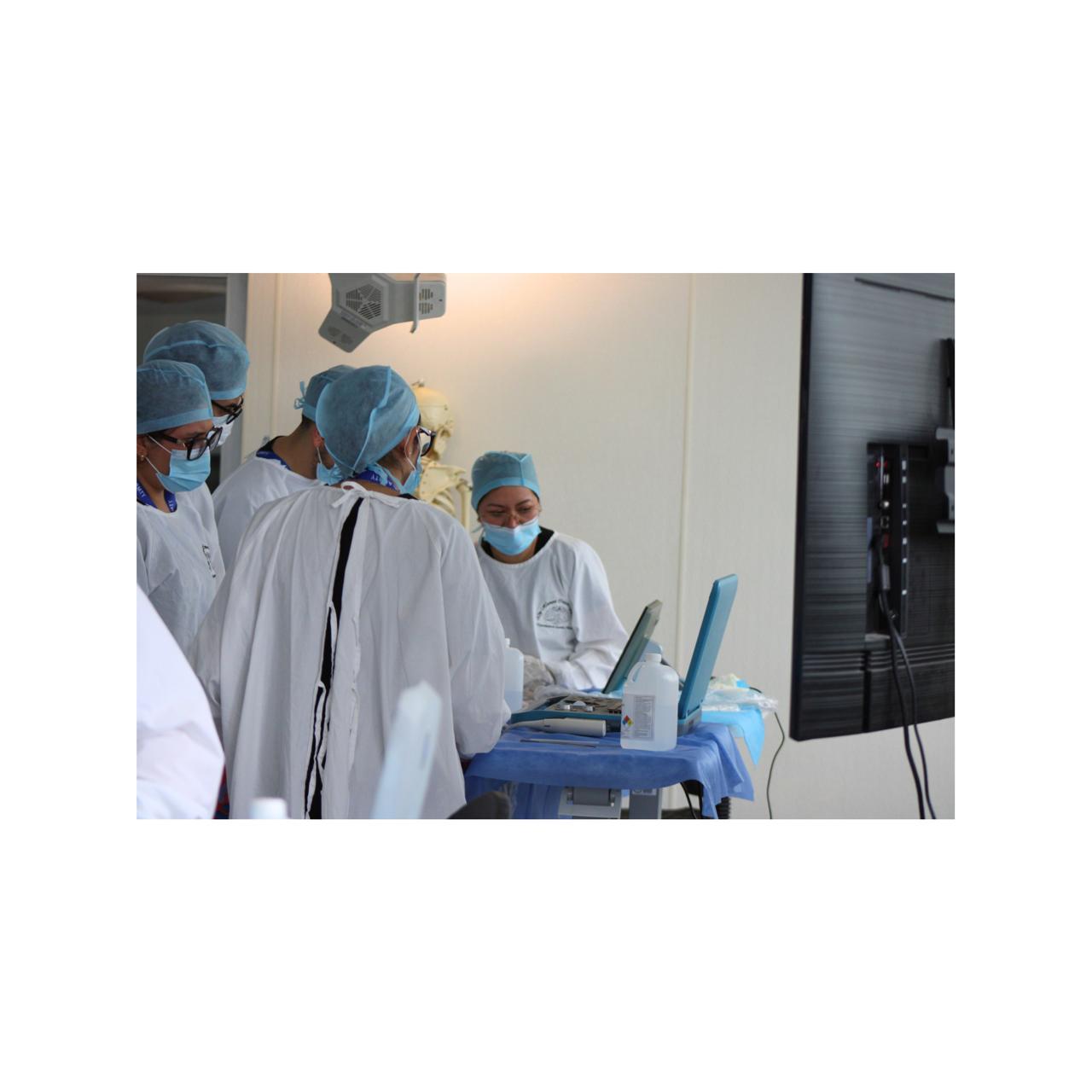 Curso EcografĂa MusculoesquelĂ©tica - Imagen 9