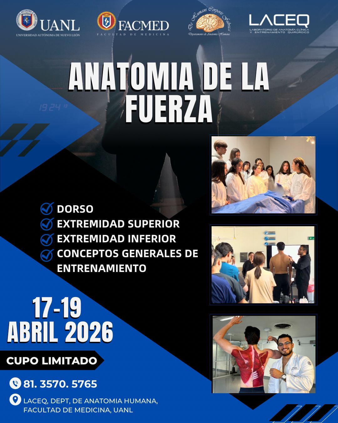 Curso Anatomía de la Fuerza - Imagen 2