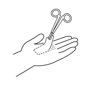 Curso de Colgajos Local