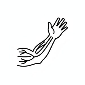 Abordajes de Compresión Nerviosos, Reparación y Transferencia nerviosa y tendinosa